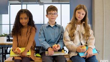 Diverse pupils at school lunch table smiling to camera video