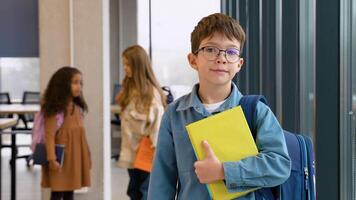 Portrait of smiling schoolboy looking at camera, classmates on background. Back to school video