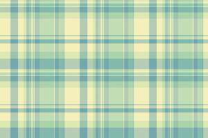 Calm pattern textile texture, place tartan seamless fabric. 40s plaid background check in light and pastel colors. vector