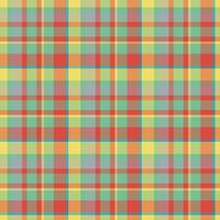 Plaid seamless pattern. background of textile ornament. Flat fabric design. vector
