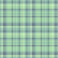Luxury background texture plaid, fluffy pattern fabric . Covering tartan seamless check textile in light and pastel colors. vector