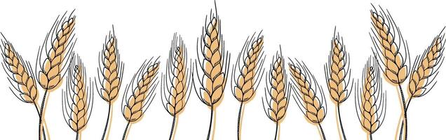 food banner bakery, pastry with wheat, oat, barley, rye, wheat ears stalks, field on yellow background and space for text, copy space vector
