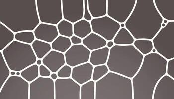 abstract voronoi lines mesh pattern background vector