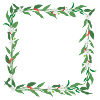 branch of chilli floral square frame with leaves isolated on background png