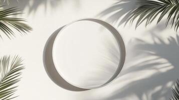 3D Render of White Blank Cylinder Frame with Palm Leaf Shadows photo