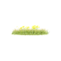 set of grass and bush with alpha mask, 3d rendering, for digital composition and architecture visualization png