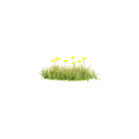 Nature grass meadow flow cut out canvas 3d rendering file png