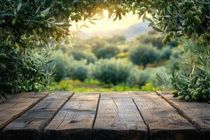 Empty wooden tabletop under olive trees at sunset photo