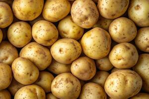Raw yellow potatoes filling the frame in a natural food background photo