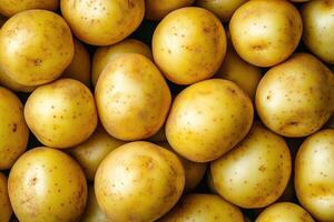 Raw yellow potatoes filling the frame in a natural food background photo