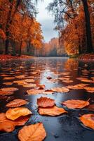 Orange autumn leaves floating on water surface in the park photo