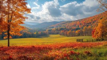 Lonely red maple tree standing out from the crowd in beautiful autumn valley photo