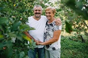 Happy senior couple taking a walk in summer in a garden. pensioners are happy with life photo