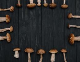 Autumn Cep Mushrooms. Basket with porcini mushrooms on the background of a tree outdoors. Close -up on wood rustic table. Cooking delicious organic mushroom. photo