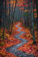 Stunning High-Resolution Nature and Landscape Backgrounds.Breathtaking Scenery in HD photo