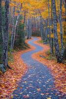 Stunning High-Resolution Nature and Landscape Backgrounds.Breathtaking Scenery in HD photo