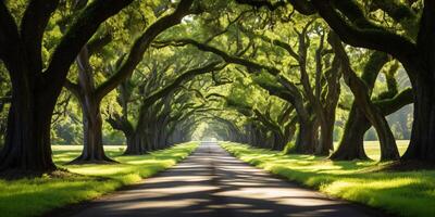 Stunning High-Resolution Nature and Landscape Backgrounds. Breathtaking Scenery in HD photo