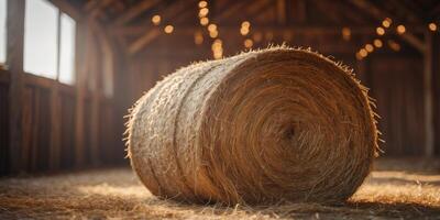 Rustic barn interior with large hay bale under ambient lighting. photo