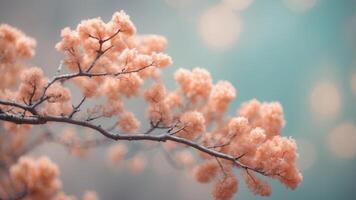 Pastel-colored abstract composition with coral and leaves. photo