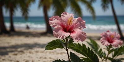 Tropical beach paradise with pink hibiscus palm leaves. photo