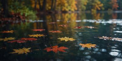 Autumnal serenity with colorful leaves floating on tranquil water. photo