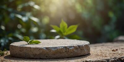 white stone podium display with leaf shadow Copy space leaf background. photo