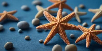 Different sized starfish on blue background. photo
