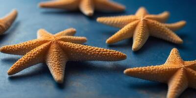 Different sized starfish on blue background. photo