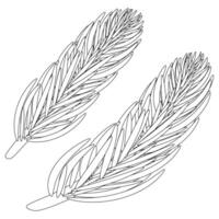 Detailed coloring page featuring spruce branches. Perfect for kids and adults looking for a fun and relaxing activity. vector