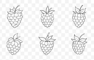 Print Boysenberry Line Art Collection Featuring Detailed Botanical Illustrations for Creative Design Projects vector