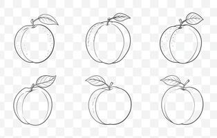 Print Apricot Line Art Set Featuring Detailed Illustrations of Apricot Fruits Branches and Leaves in Elegant Minimalist Style vector