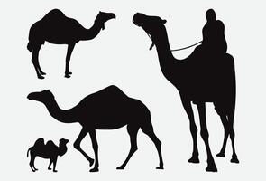 Print Comprehensive Camels Silhouette Set Featuring Diverse Camel Silhouettes in Various Poses vector