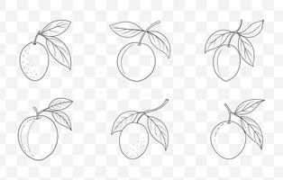 Print Jujube Line Art Set with Detailed and Elegant Illustrations for Design and Art Projects vector