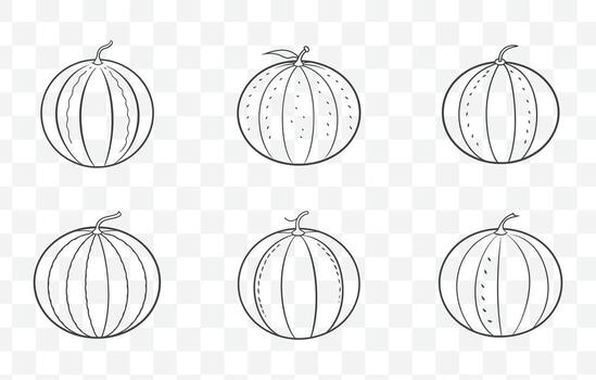 Print Detailed Cantaloupe Line Art Set with Various Illustrations for Creative Design Projects vector