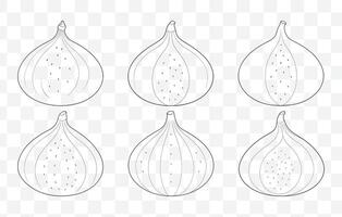 Print Elegant Fig Line Art Set Featuring Detailed Illustrations of Ficus Carica Trees Leaves and Fruit Designs vector