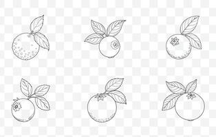 Print Huckleberry Line Art Set Featuring Detailed Illustrations and Creative Designs for Artistic Projects vector