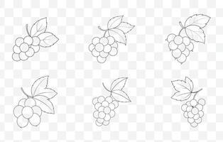 Print Elegant Currant Line Art Set for Detailed Botanical Illustrations and Creative Designs vector