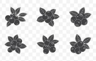 Print Comprehensive Blueberry Line Art Set with Detailed Botanical Illustrations vector