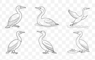 Print Cormorant Line Art Set - Detailed Illustrations of Cormorant Birds for Artistic and Design Projects vector