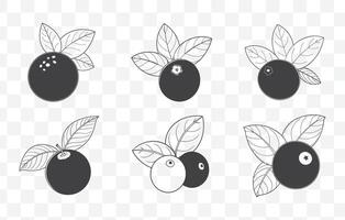 Print Cranberry Line Art Set Elegant and Detailed Illustrations of Cranberries for Graphic Design and Creative Projects vector