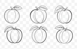 Print Apricot Line Art Collection Featuring Detailed Botanical Illustrations and Elegant Fruit Design Elements Set vector