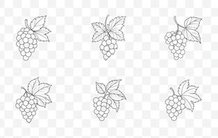 Print Currant Line Art Collection with Detailed Illustrations of Currant Berries and Leaves in Various Styles vector