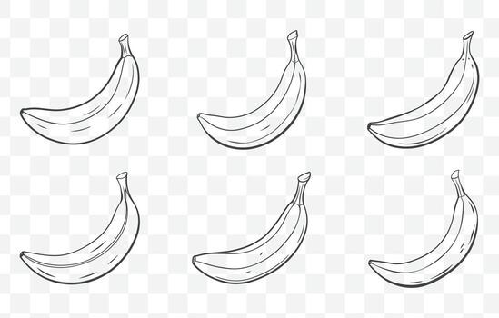 impresión plátano línea Arte conjunto con detallado ilustraciones de bananas en varios estilos y poses vector