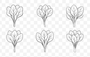 Print Kale Line Art Set Detailed Illustrations of Kale Leaves and Stems in a Variety of Styles vector
