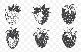 Print Boysenberry Line Art Set with Detailed Illustrations for Design and Craft Projects vector