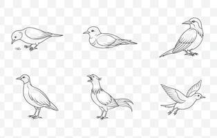 Print Elegant Teal Bird Line Art Set Featuring Detailed Illustrations for Design and Artistic Projects vector
