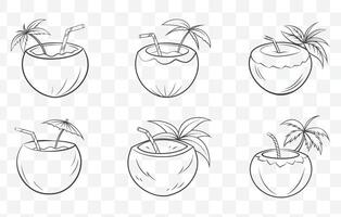 Print Coconut Tree and Fruit Line Art Set Detailed Illustrations of Coconuts Leaves and Tropical Elements vector