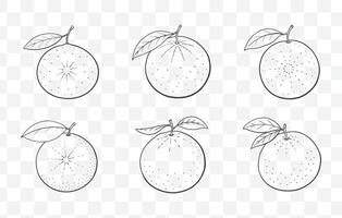 Print Grapefruit Line Art Set for Creative Designs and Illustration Work vector