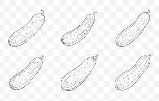 Print Cucumber Line Art Set Detailed Illustrations of Fresh Cucumbers for Design Projects and Creative Use vector
