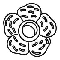 Rafflesia arnoldii flower drawing showing five lobes vector